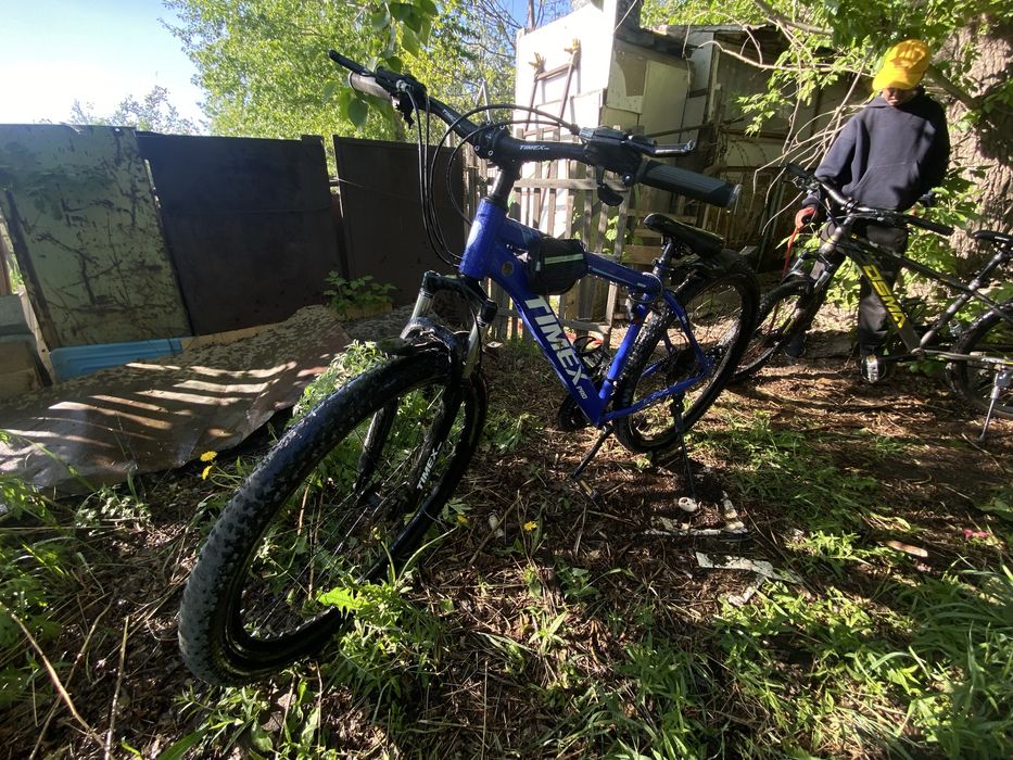 Пробаеться веоик синий тимекс про