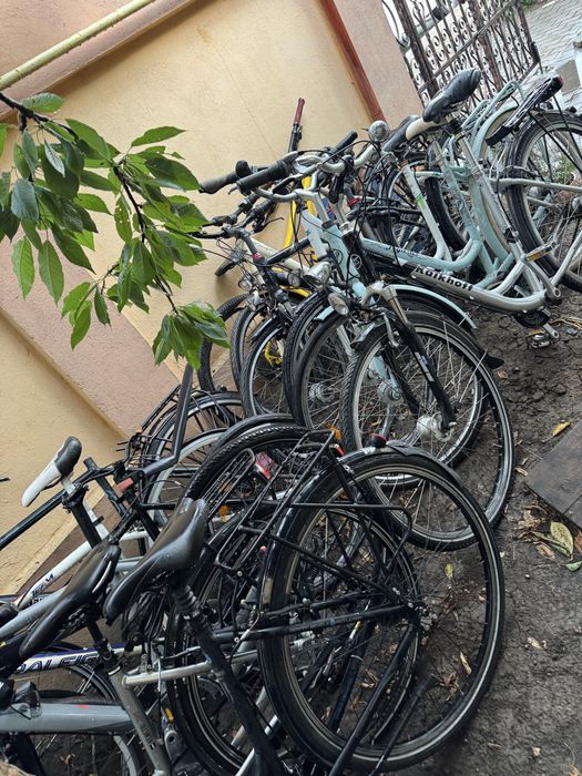 Vand Biciclete Dama mtb Cursiere normale  Germany