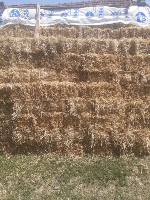 Vând baloți de paie