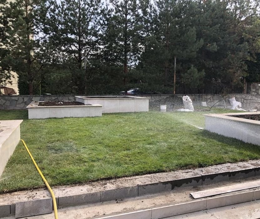 Газон посевной рулонный