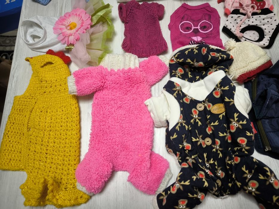 Одежда для собак чихуахуа