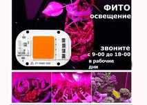 для выращивания помидоров фито-освещение светильники прожекторы диоды