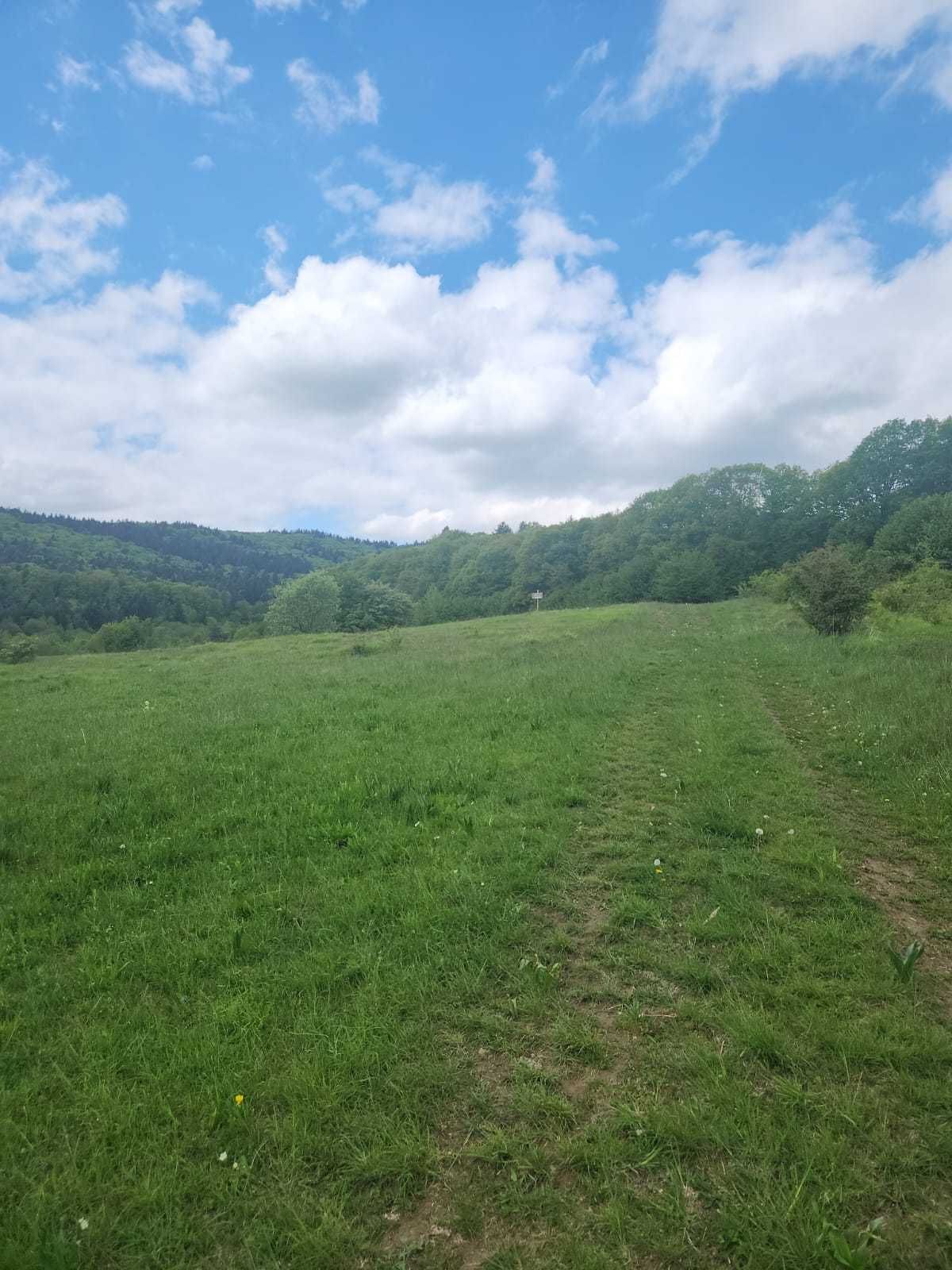 Teren 4200mp cu priveliste deosebita la 19km de Brasov