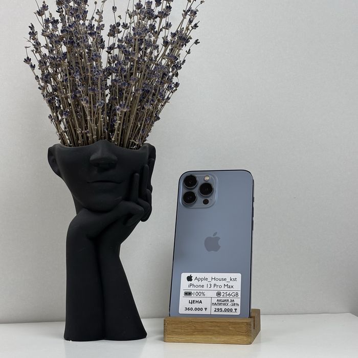 iPhone 13 Pro Max, 256gb