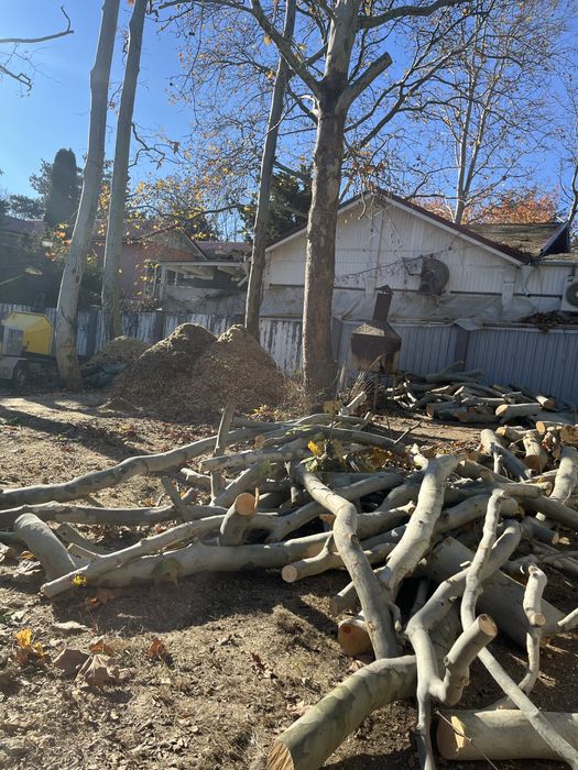 Toaletari, defrișări, îngrijiri vegetație