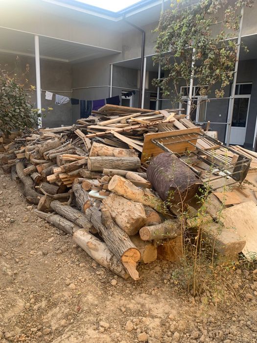 Quriq otin sotiladi srochna