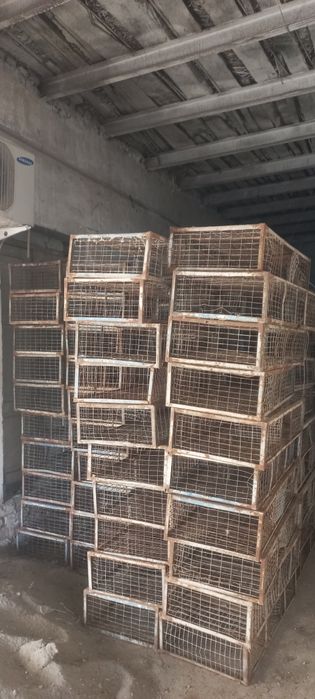 Tavuq tashish uchun setka holati yaxshi