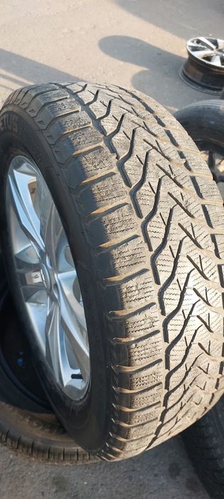 18 kaptiva2 arginal diska balon zõr xolat