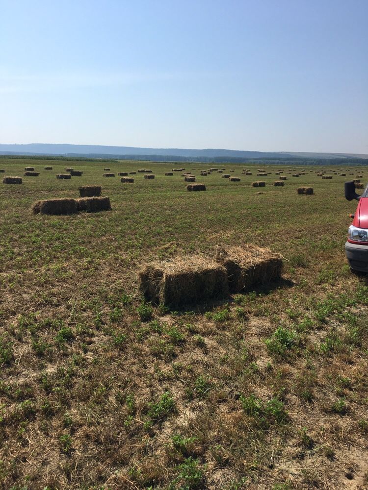 Vînd Baloți Lucerna rotunzi (asigur transport contra cost motorina )