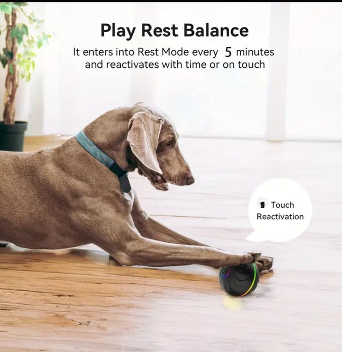 Подскачаща топка за куче