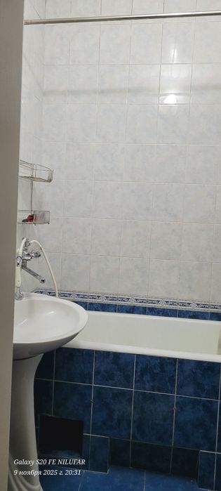 3 хонали хонадон