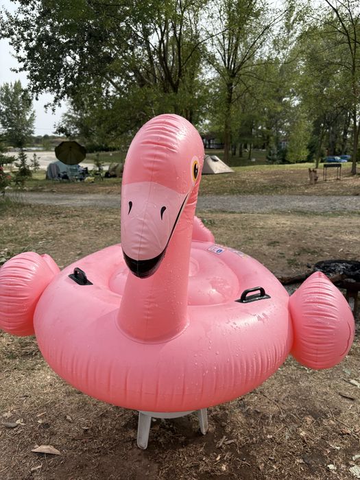 Saltea gonflabila - flamingo