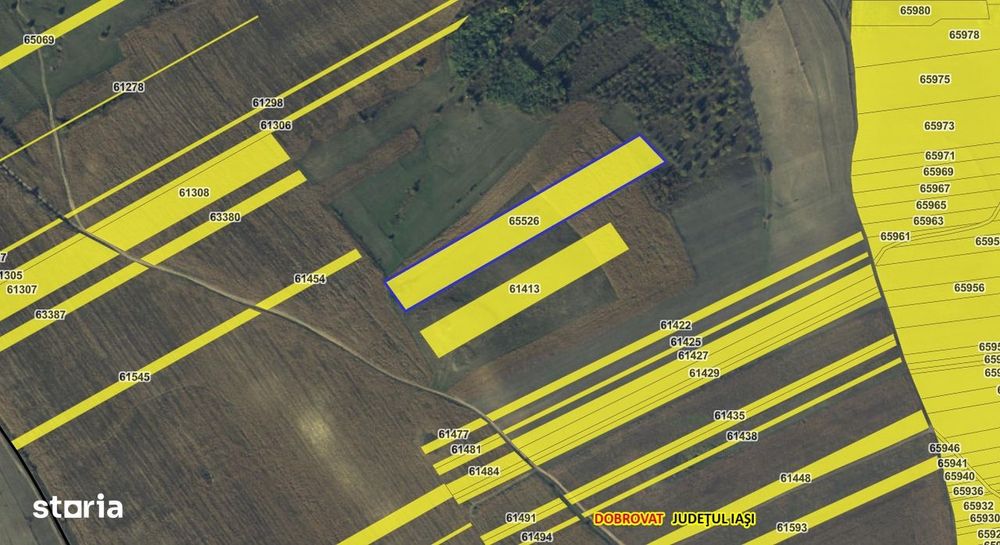 teren 13500 mp Dobrovat,compact,intabulat