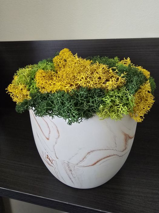 Подаръци с мъх , кашпи с рози