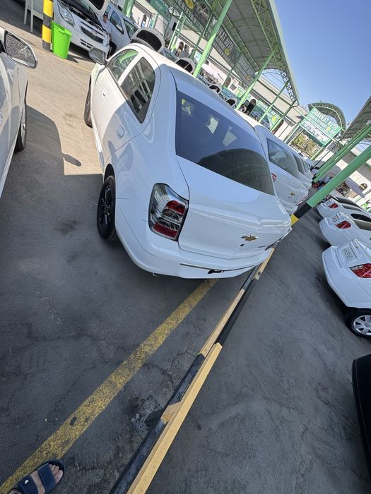 Cobalt 2025 midnight