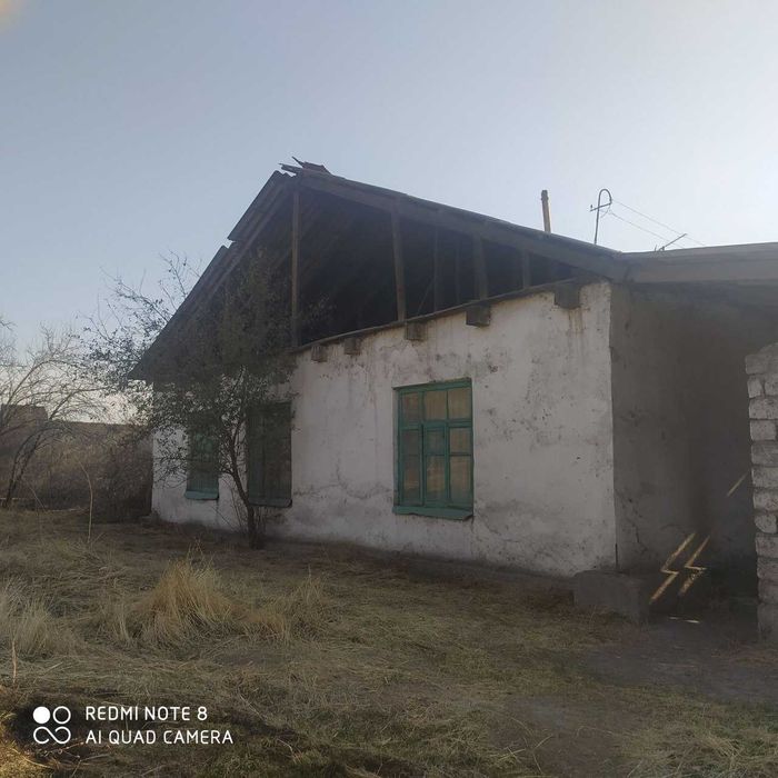 Бузиб олиш учун уй