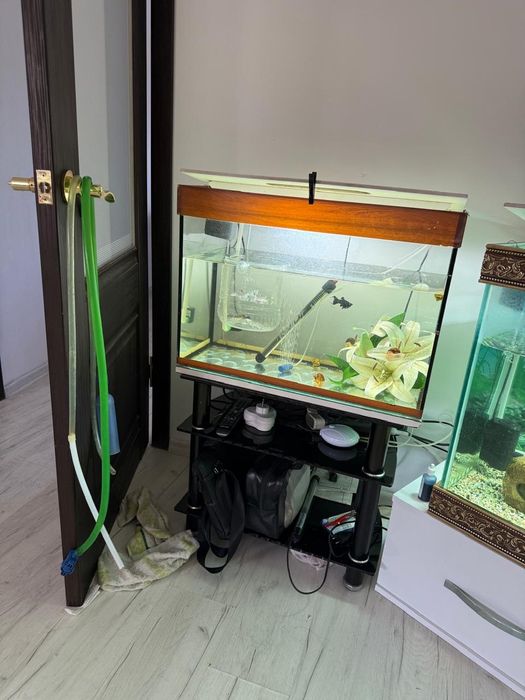 Аквариум сатылады 75л