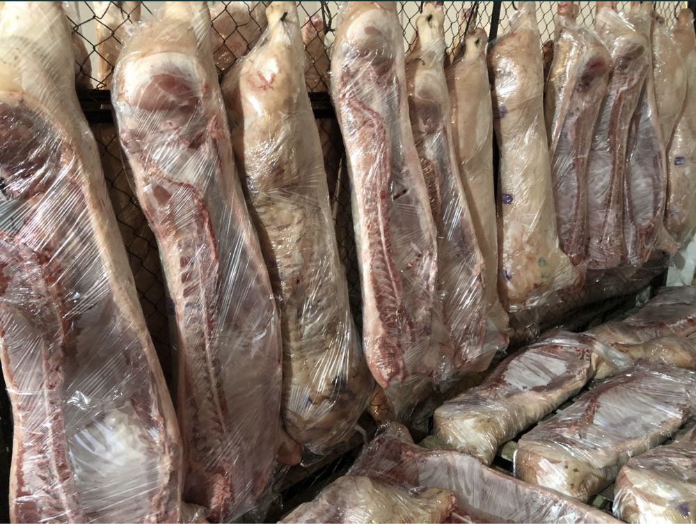 Свинина туши беконные . Казахстанское мясо