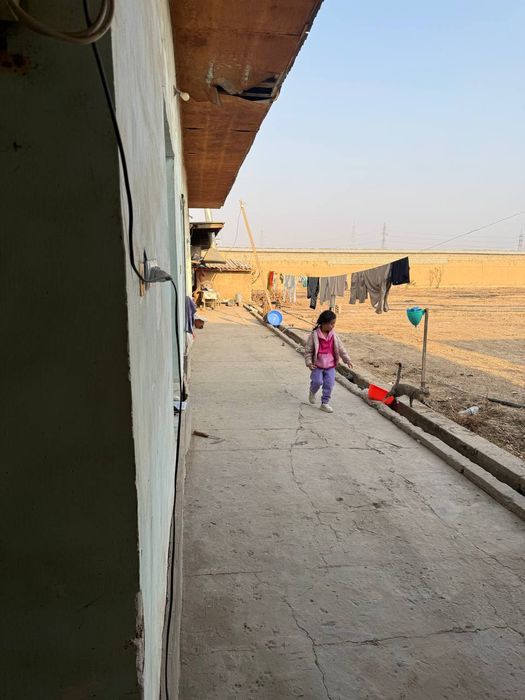 Кадастр бор Янгийул Коратепа тошкендан келганда арча ку́чага етмасдан