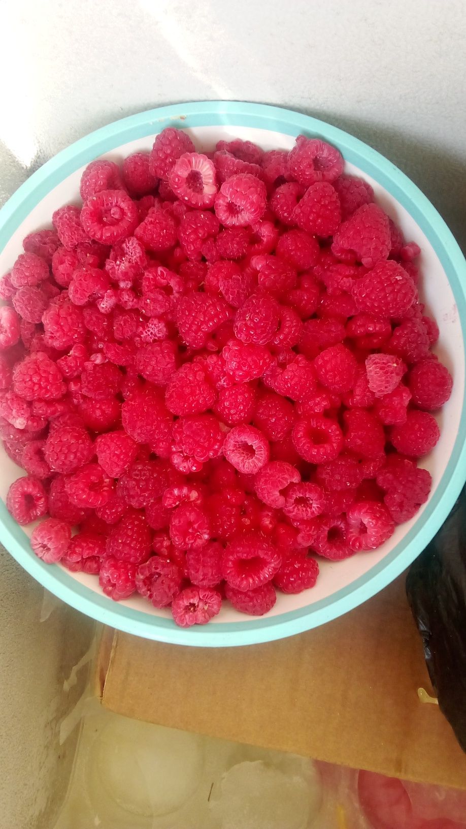 Oddiy va yaxshi MALINA sort. ejivika,shotut,smorodinalar bor