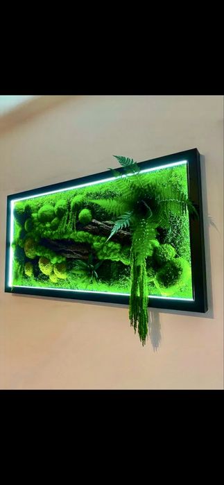 Картины из мха премиум-класса: стиль, натуральность и удобная цене