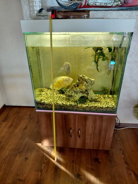 Аквариум с шкаф ш40 см 55см 80см аквариум 40см.   80см. В 80см.