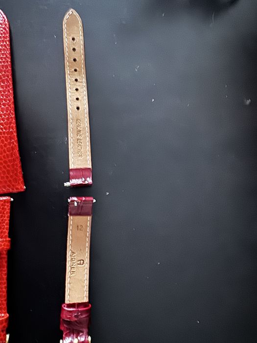 Curele ceas Cluse si Aigner