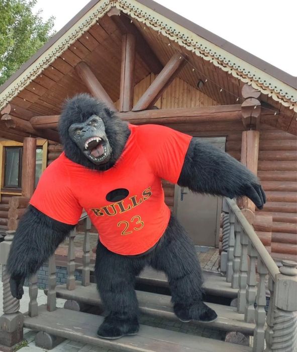 КИНГ КОНГ/Конг/БЕЛЫЙ Мишка/УМКА/Аниматоры/Поздравления