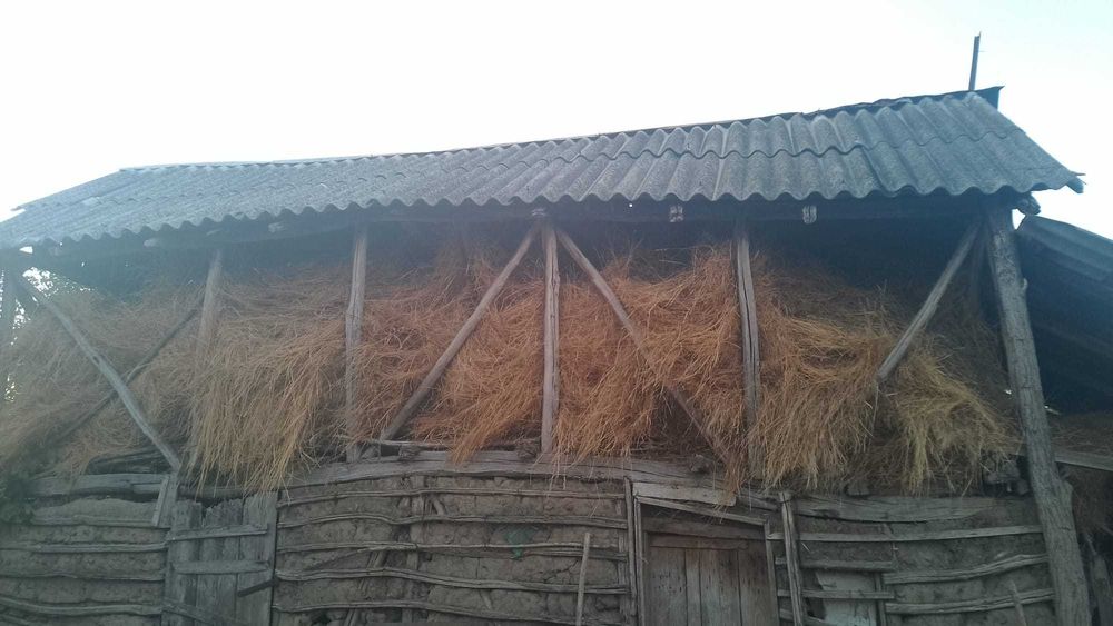 Vând fan pentru animale