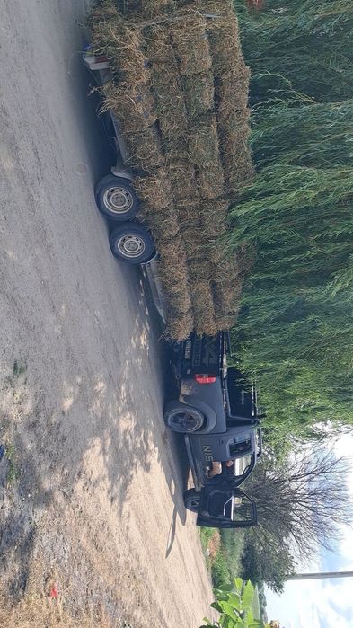 Baloți de vanzare