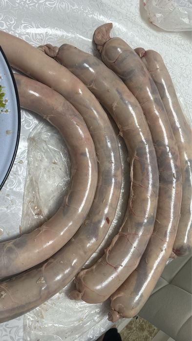 Продается кишка -20 м для казы и шужык