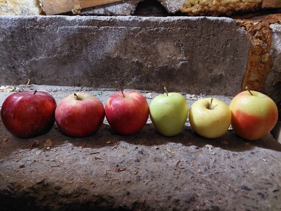 Продам яблоки город Талгар