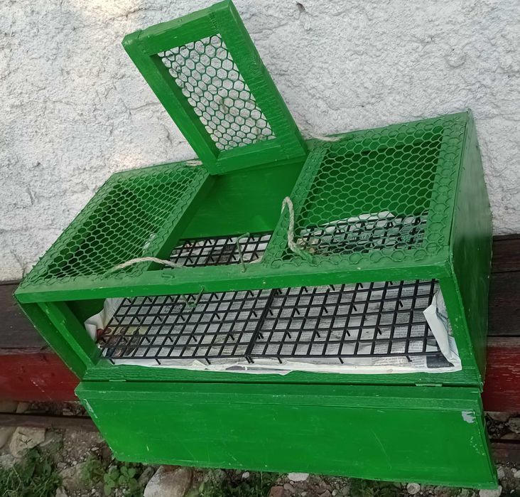 cutie pentru transport porumbei