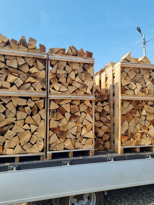 Lemne de foc fag esenta tare