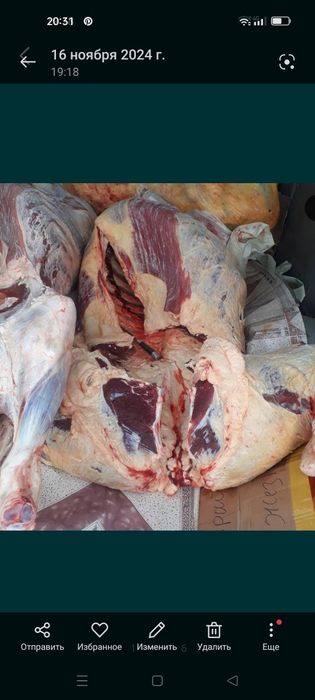 Семіз ерте туған бұзау сатылады