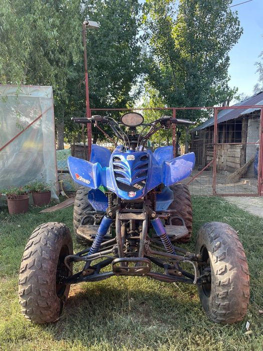 Atv Bashan motor 200