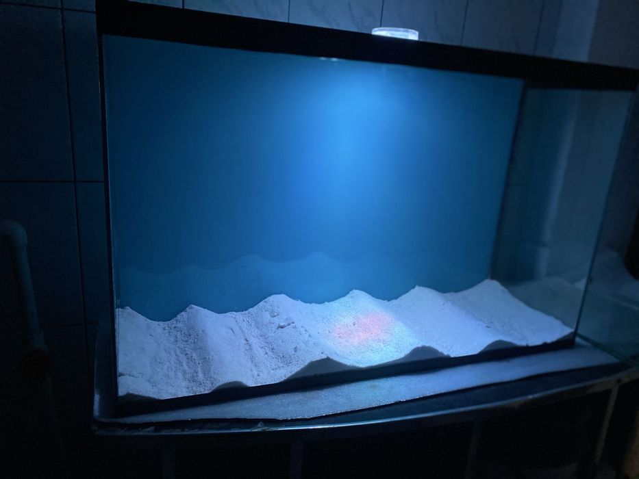 aksiya akvarium ‼️‼️‼️