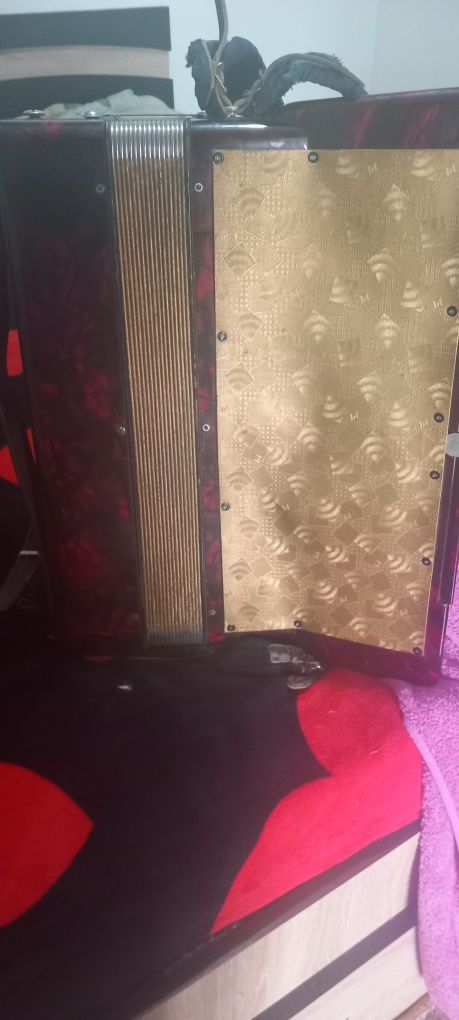 Vand acordeon Hohner Vedri II 120 de basi