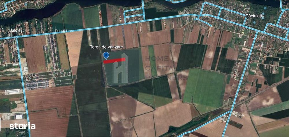 Teren de vanzare 10.000 mp | Căciulați, Moara Vlăsiei | Balotesti