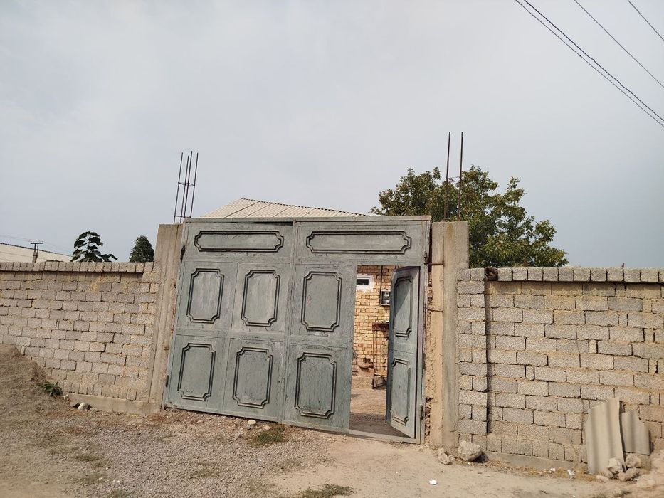 Kotta tirasaga  juda yaqin