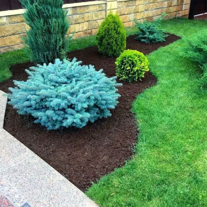 Gazon lanshaft dezayn