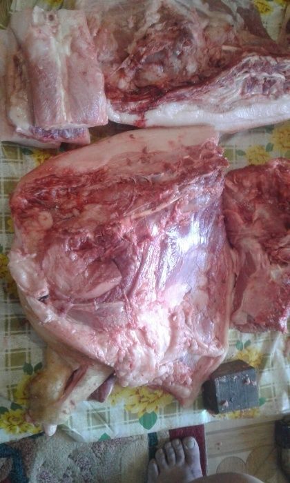 Продаю мясо свинину