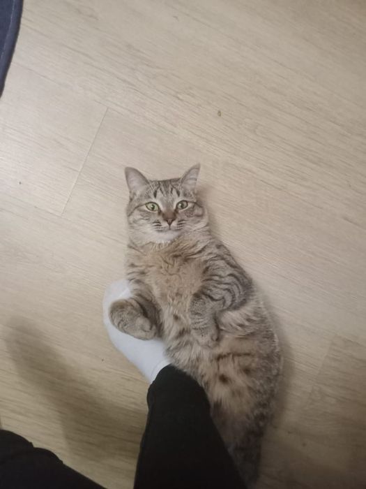 Пропал член семьи!!!