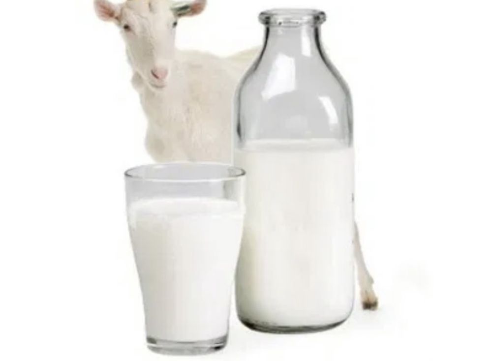 полезное КОЗЬЕ молоко