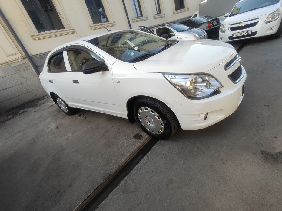 Kobilt 1paditsan umum urilmagan 2ktan petno