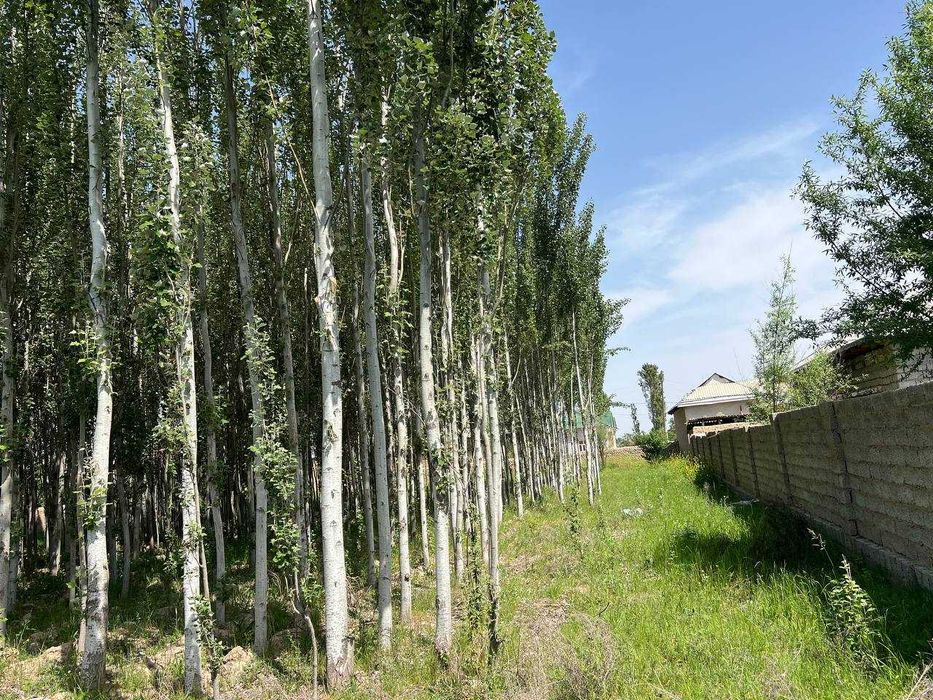 Uy va yer uchastkasi (kadastr hujjatlari mavjud)