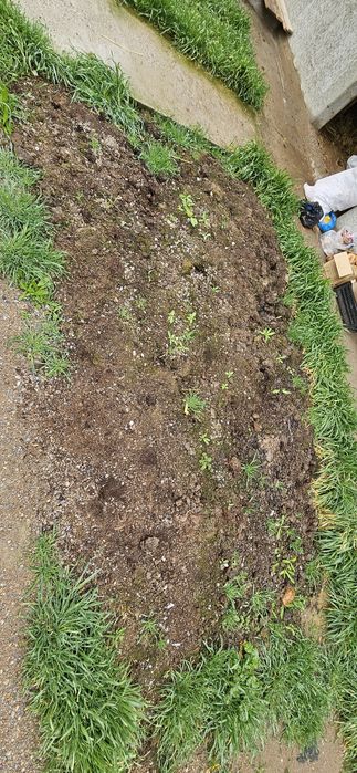 Навоз навоз . Удобрение . Қойдың қиы, гоң , коң