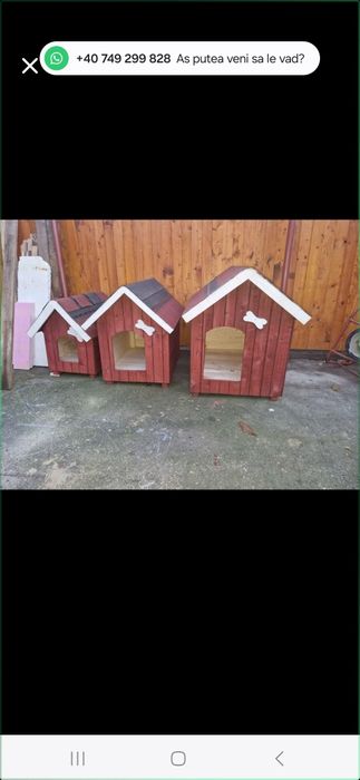 Cotete/cușcă! Câine