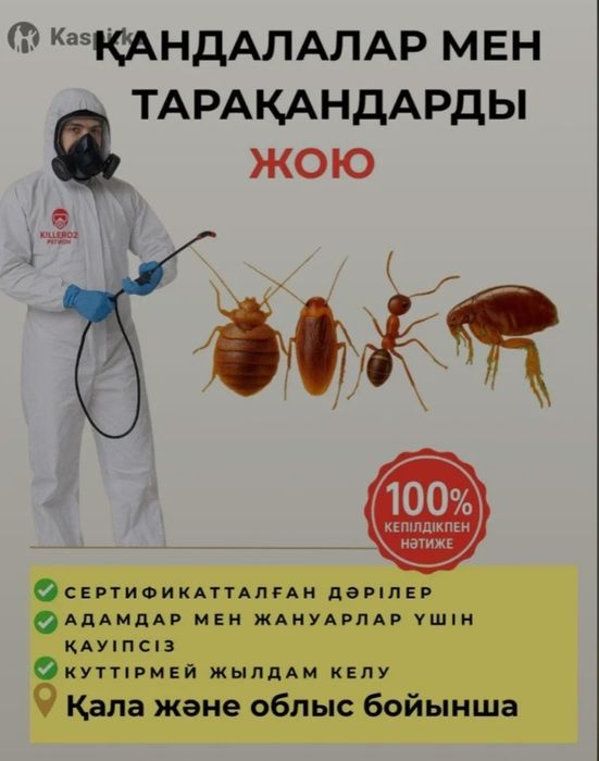 Дезинсекция, дератизация, фумигация, дезинфекция  в Кызылорде!
