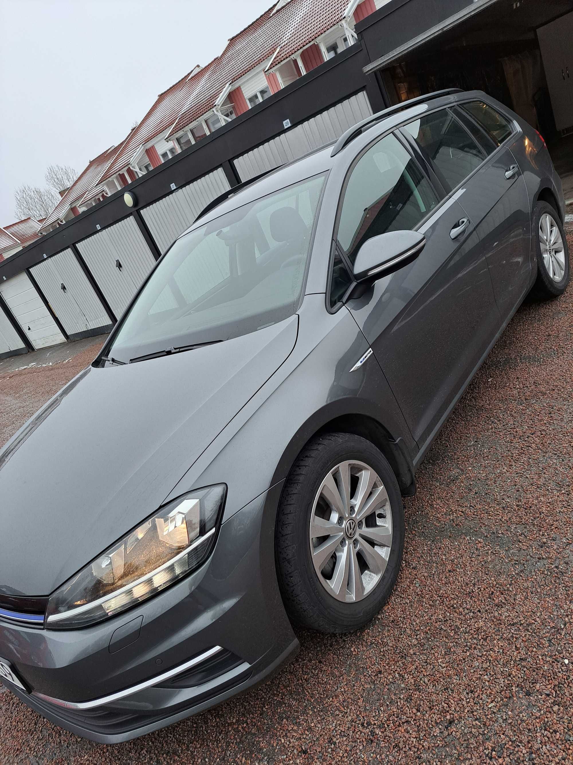 Vand Wolkswagen Golf Sportcombi 1,4 TGI CNG, 110hk ,2018